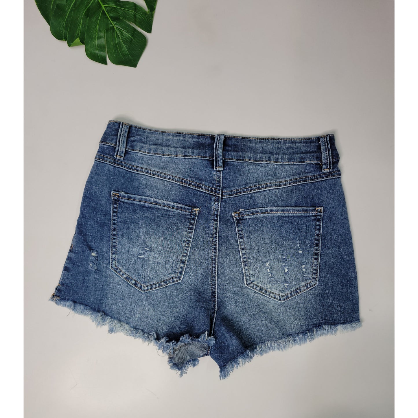 No Ring Denim Shorts