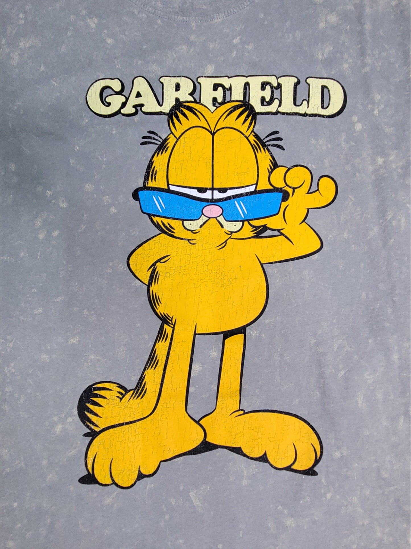 Garfield Washed Oversized Tee