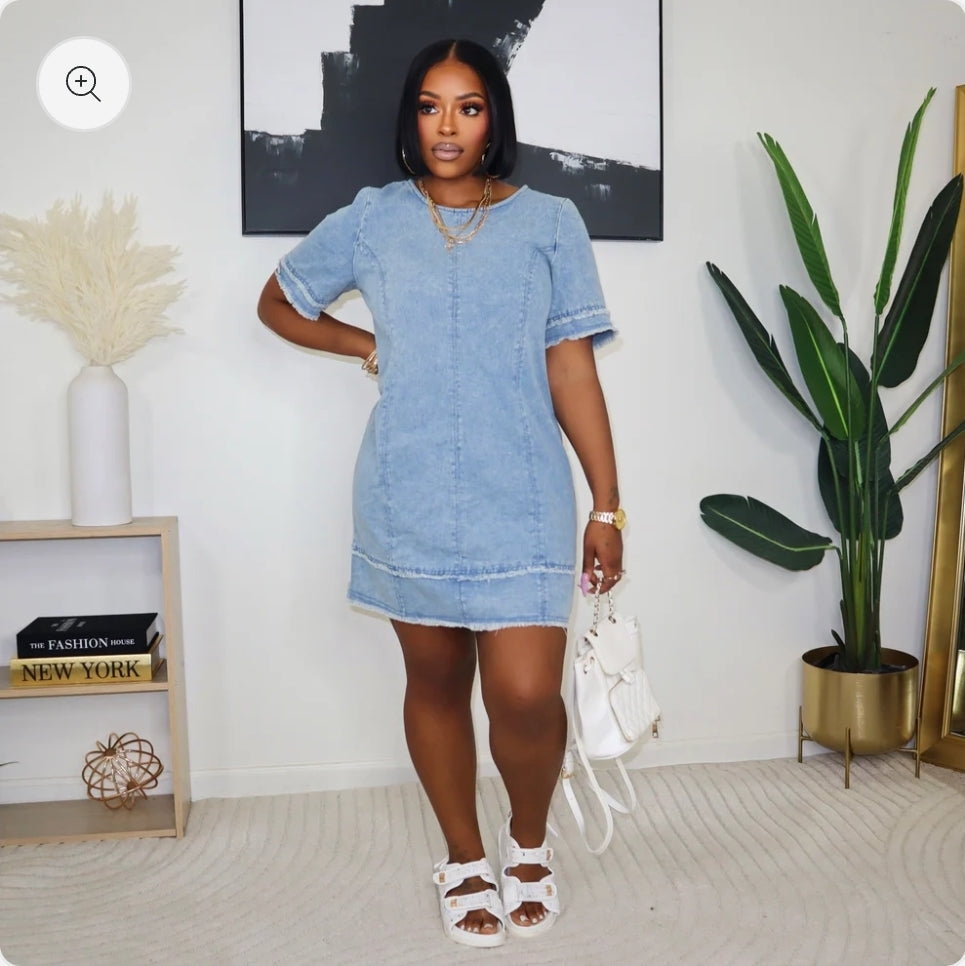 Abby Shift Denim Dress