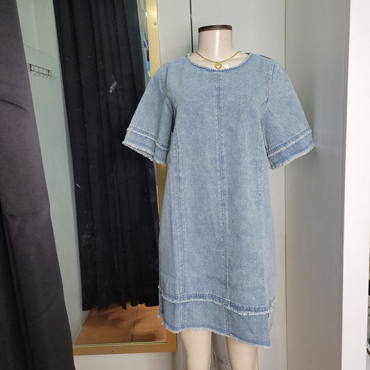 Abby Shift Denim Dress