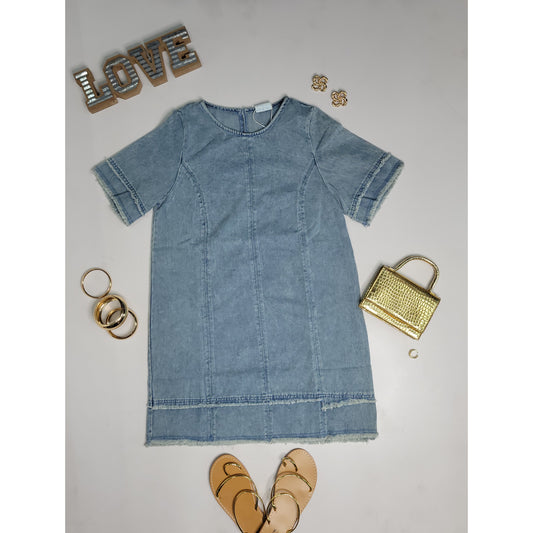 Abby Shift Denim Dress